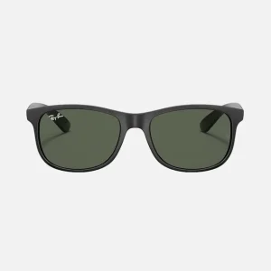 RAYBAN-4202 ANDY