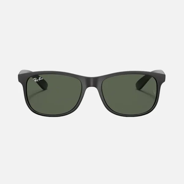 RAYBAN-4202 ANDY